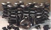 Ford Pint  Valve Springs