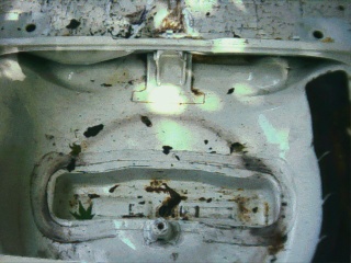 trunk area