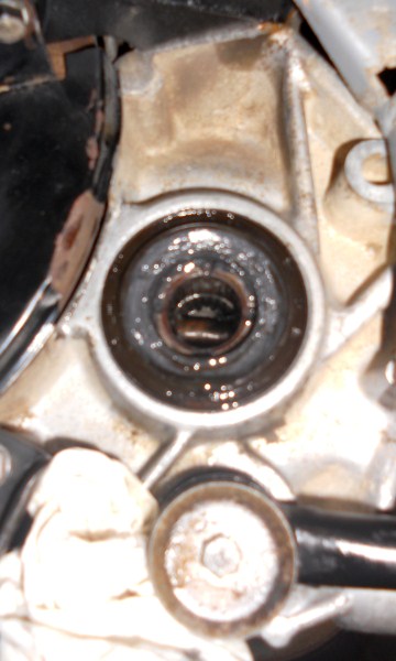 Left Side Driveshaft Oil Seal 2 (360 x 600).jpg