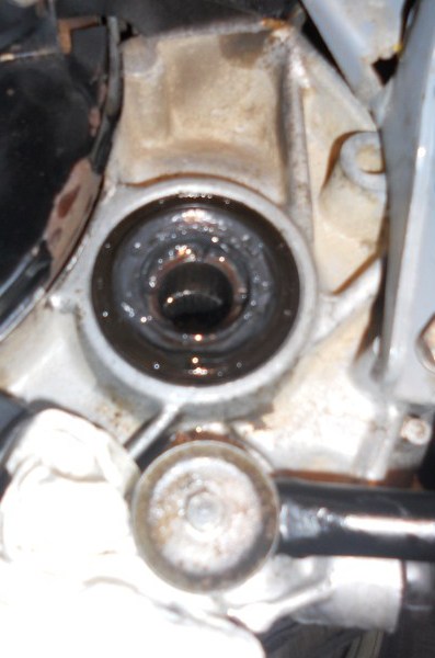 Left Side Driveshaft Oil Seal 1 (397 x 600).jpg